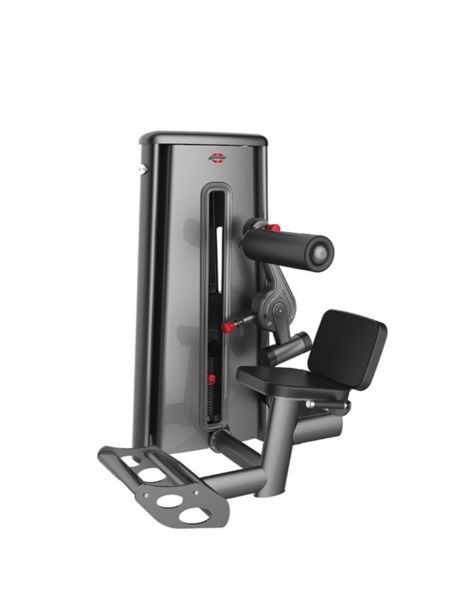 Gym80 Lower Back Machine Cn003007