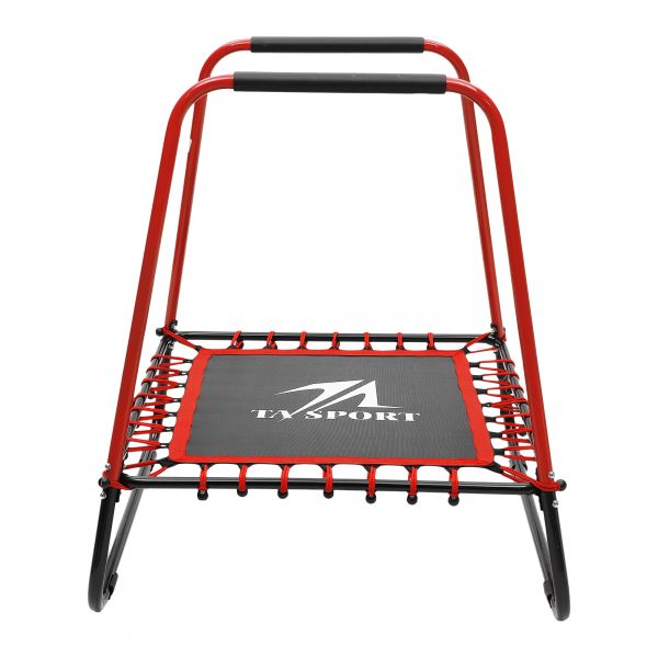 Trampoline With Handrail, Black/Red 40Inch (Brand : Ta Sports)