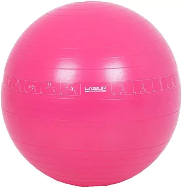 Mesuca Yoga Ball 65Cm Mbd21311 Pink