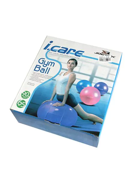 Mesuca Yoga Ball 65 Cm Mbd21311 Purple