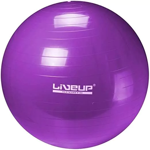 Anti Burst Gym Ball Ls3222 75Cm