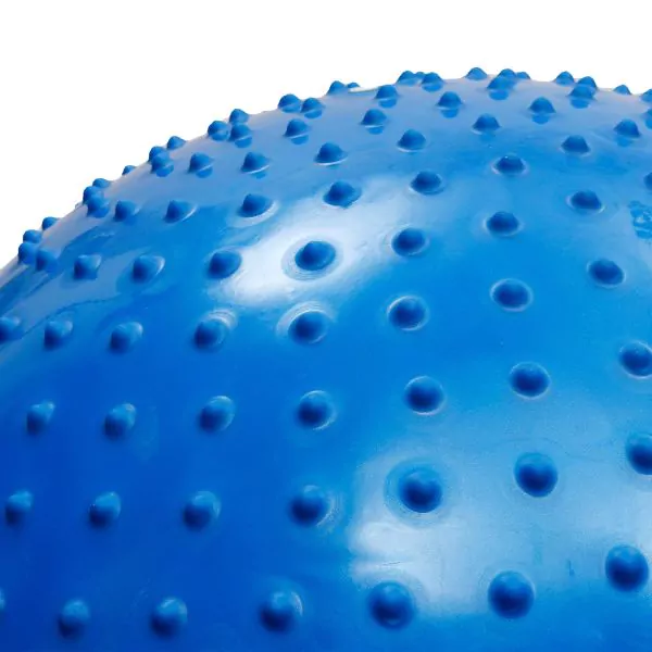 Anti - Resistant Gym Ball Without Pump 65Cm (Brand : Generic)