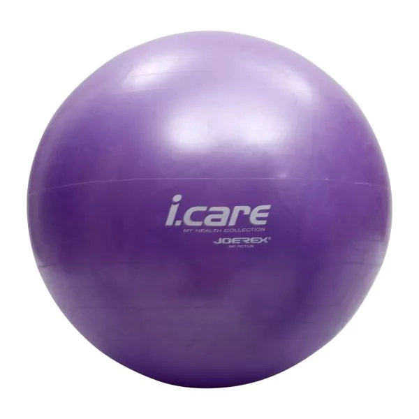 I Care Gym Ball 65Cm (Brand : Mesuca)