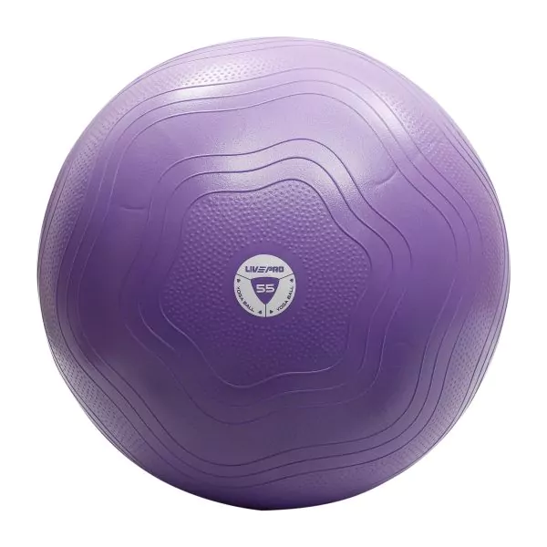 Anti - Burst Core - Fit Exercise Ball 55Centimeter (Brand : Livepro)