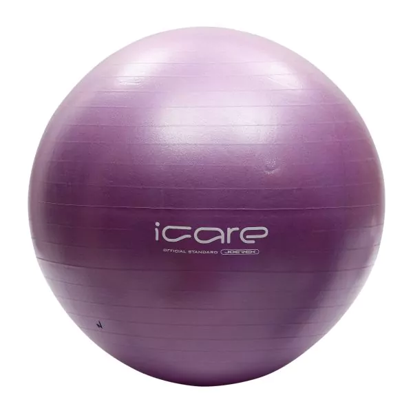 Gym Ball (Brand : Mesuca)