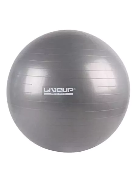 Yoga Ball - 65 Cm Ls3577