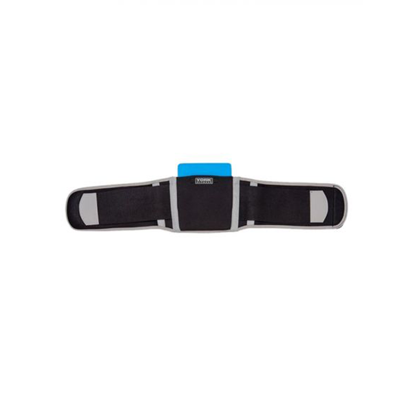 Lumbar Support (Brand : York Fitness)