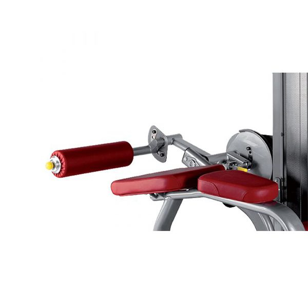 Lying Leg Curl L030