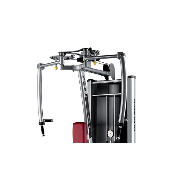 Rear Deltoid L410