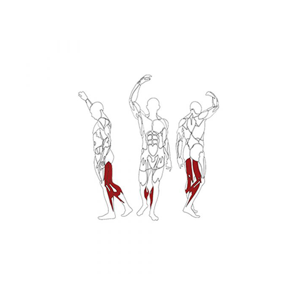 Seated Leg Curl Machine 174.4X112.7X148.5Cm