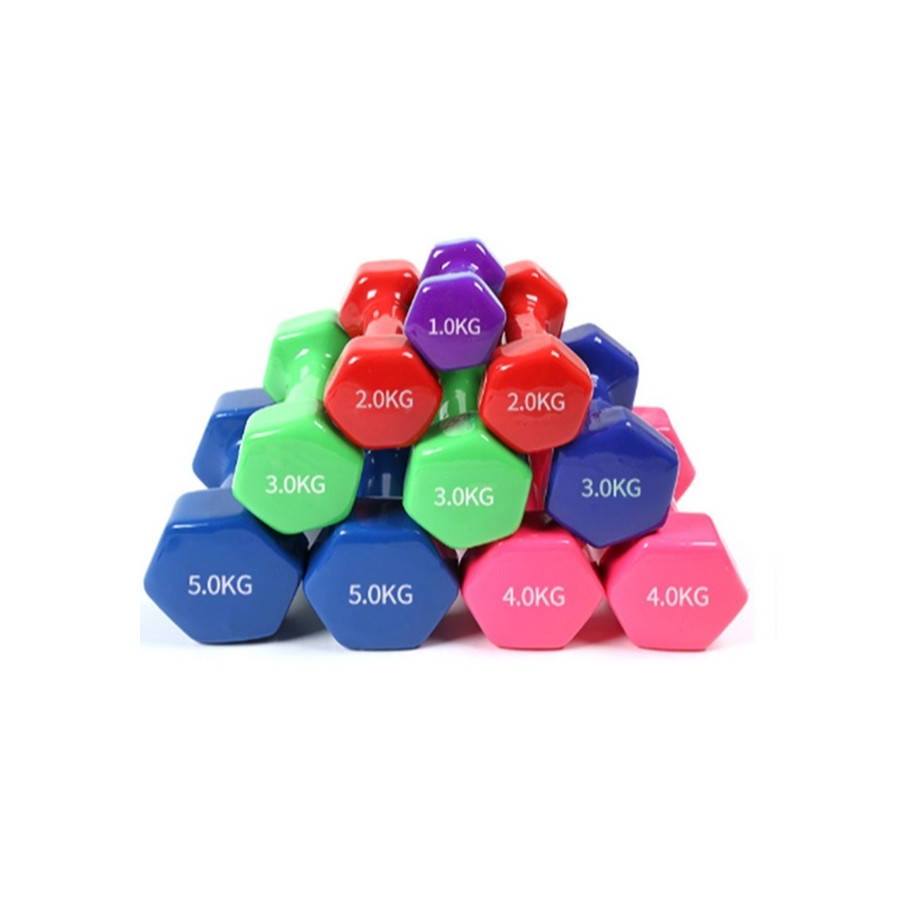 Vinly Dumbbells AV-1201