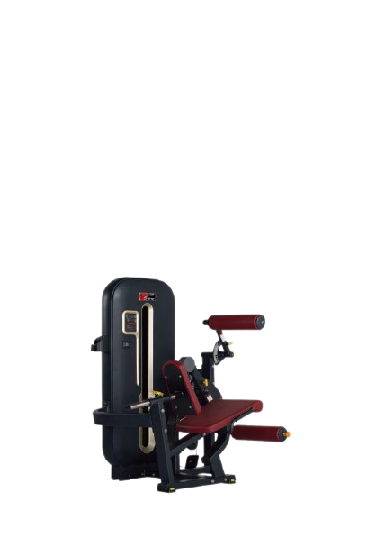 SEATED LEG CURL C-13
