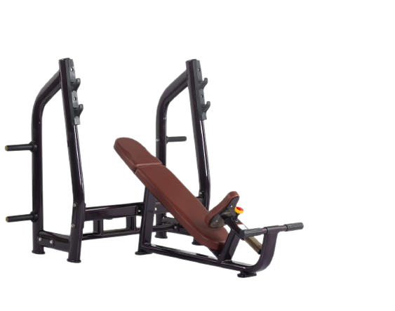 VG Incline Bench S6-025