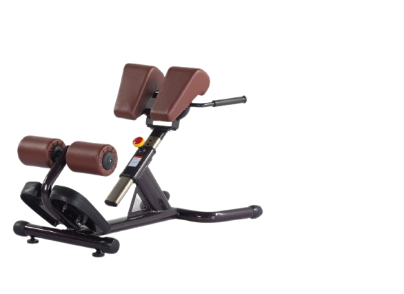 Roman Chair S6-026A
