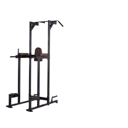 Vertical Knee Raise S6-027