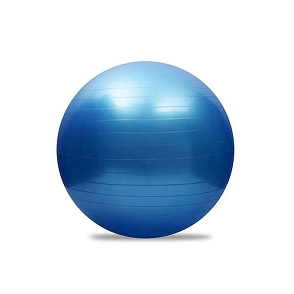 York Fitness Anti - Burst Gym Ball 55Cm W/ Pump