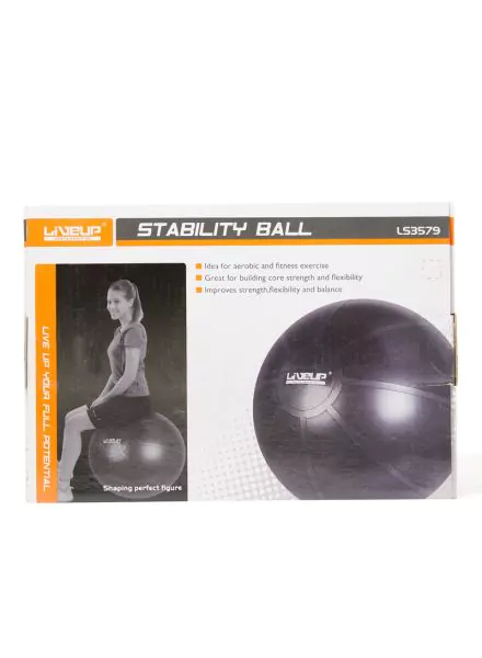 Stability Ball With Pump 75 Cm Ls3579