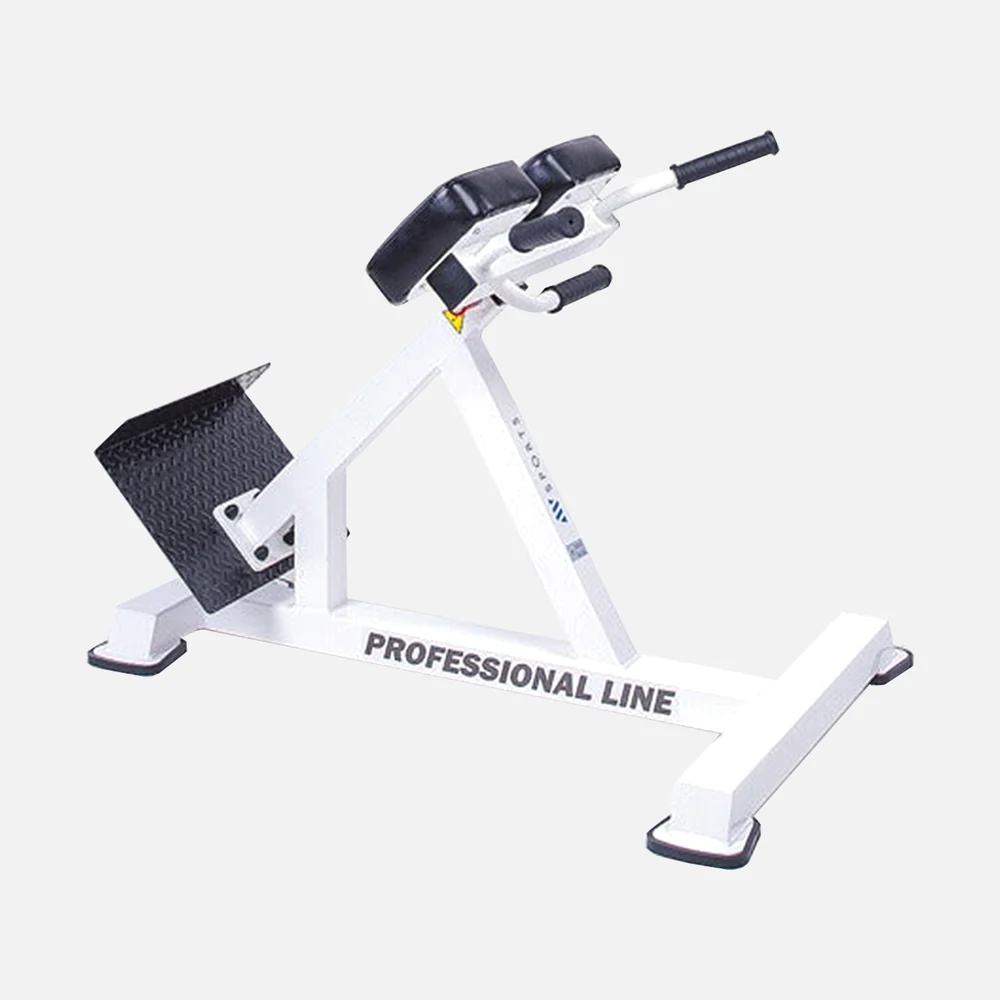 45 Degree Back Hyperextension