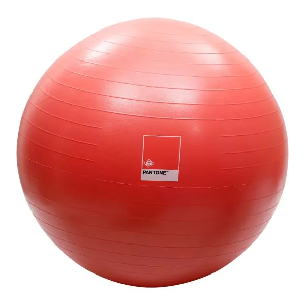 Gym Ball Set (Brand : Pantone)
