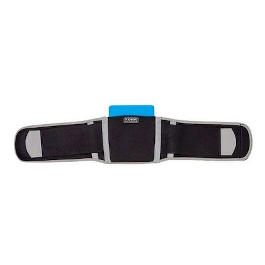 Lumbar Support (Brand : York Fitness)