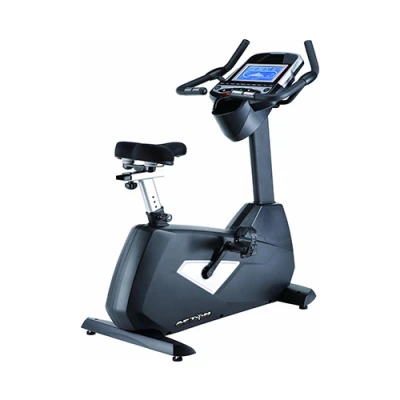 Commercial Upright Bike UX 100