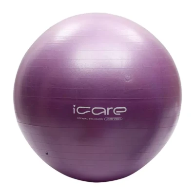 Gym Ball (Brand : Mesuca)