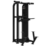 Dual Assisted Tunturi Platinum Chin ups with dips exercise machine
