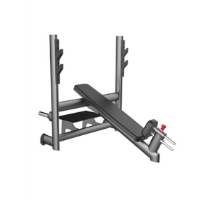 Gym80 Incline Bench Cn004009