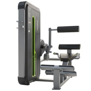 E3031a Fitness Equipment Arm Back Extension Gym Machine From Dhz